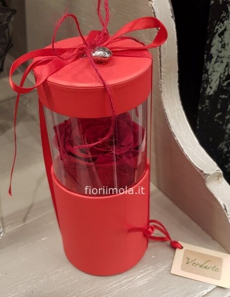 Scatola con rosa rossa stabilizzata