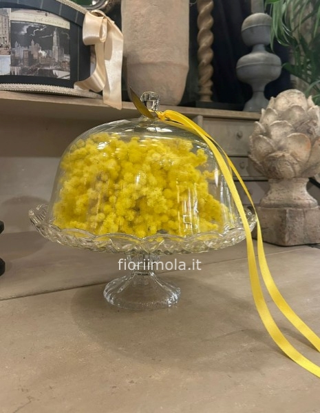 Alzata in vetro con coperchio e