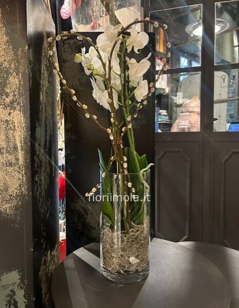 Pianta orchidea phaleonopsis bianca con vaso a cilindro in vetro