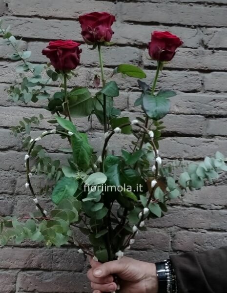 Rose Rosse a stelo lungo, confezionate con verde decorativo