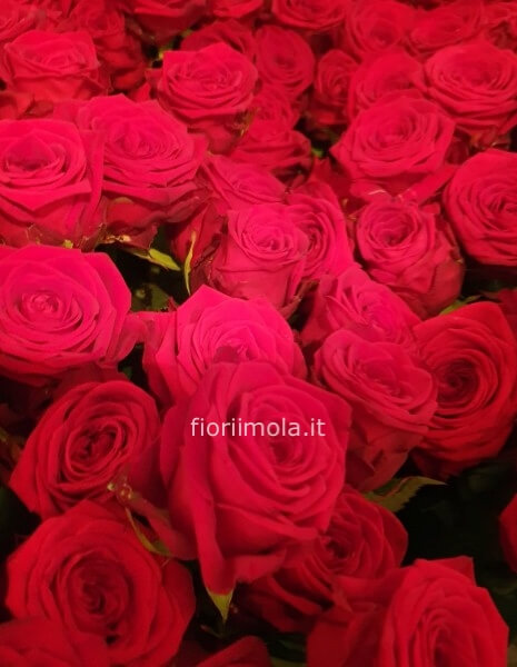 Mazzo Rose Rosse a stelo lungo