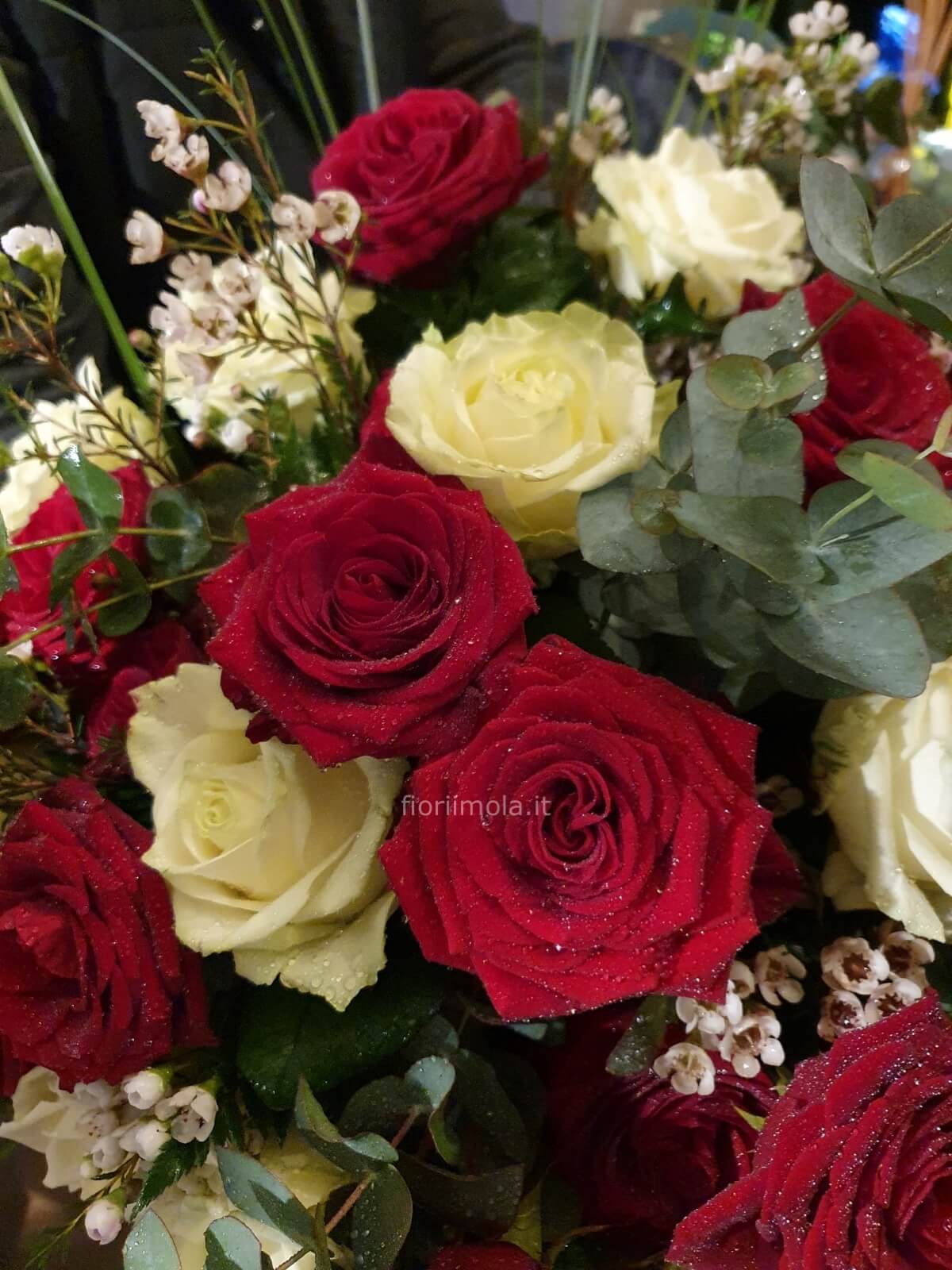 Bouquet con rose rosse e bianche mix di verdi ornamentali » Consegna fiori  a Imola, invio fiori e piante a domicilio a Imola
