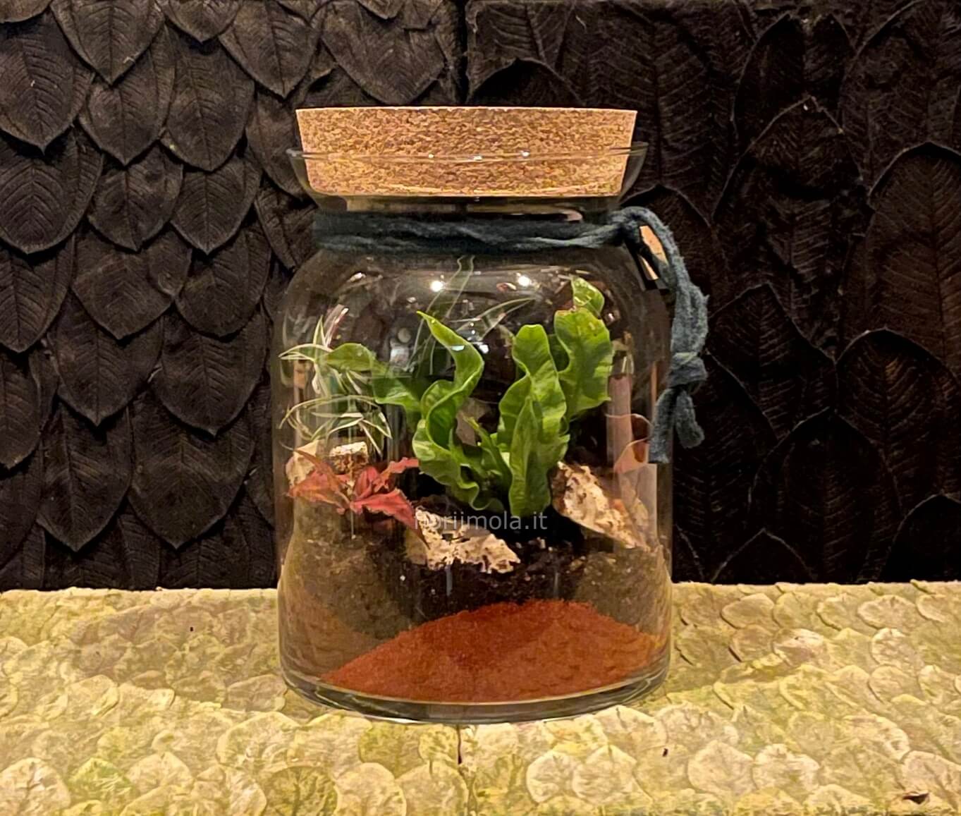 Terrarium in vetro con piante verdi e miste » Consegna fiori a