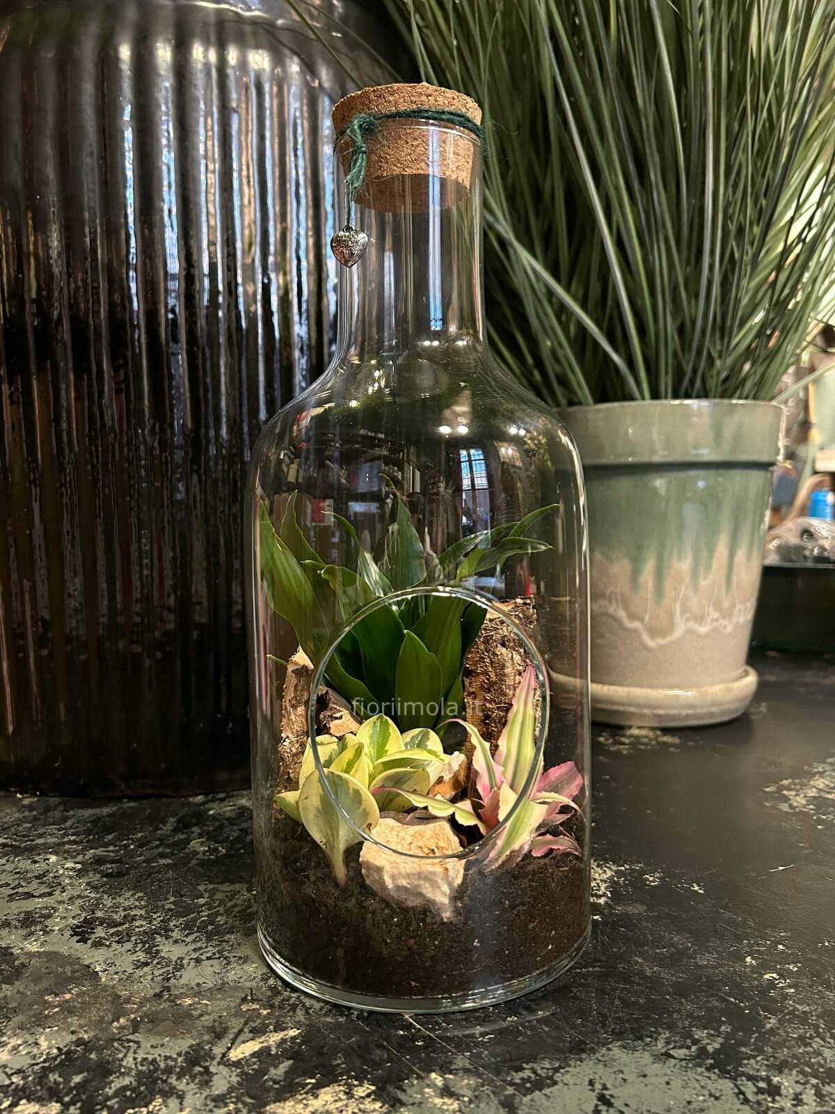 Terrarium in vetro con piante verdi e miste » Consegna fiori a